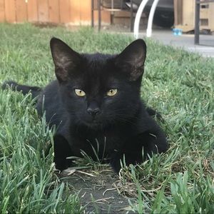 Meet your Posher, Carla